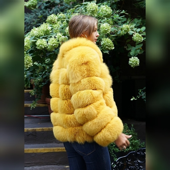Yellow Fox Jacket - Picture 3 of 5